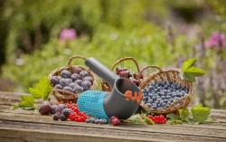 Combisystem Bogyósgyümölcs-szüretelő 6.Kép